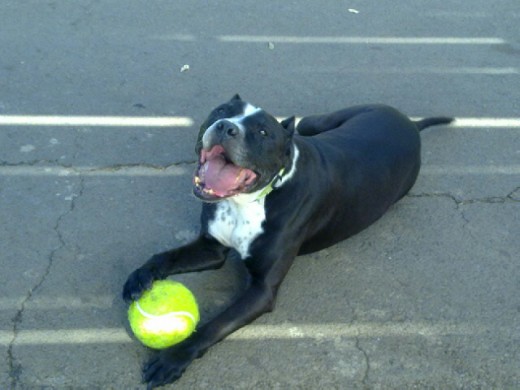 Con su superpelota